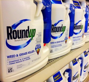 Roundup Cancer Risk