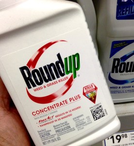 Roundup